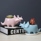 Cute Dinosaur Succulent Planter Pot with Drainage Tray