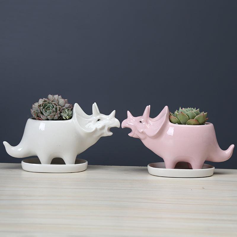 Cute Dinosaur Succulent Planter Pot with Drainage Tray