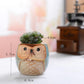6-Piece Mini Owl Ceramic Succulent Planter Pots