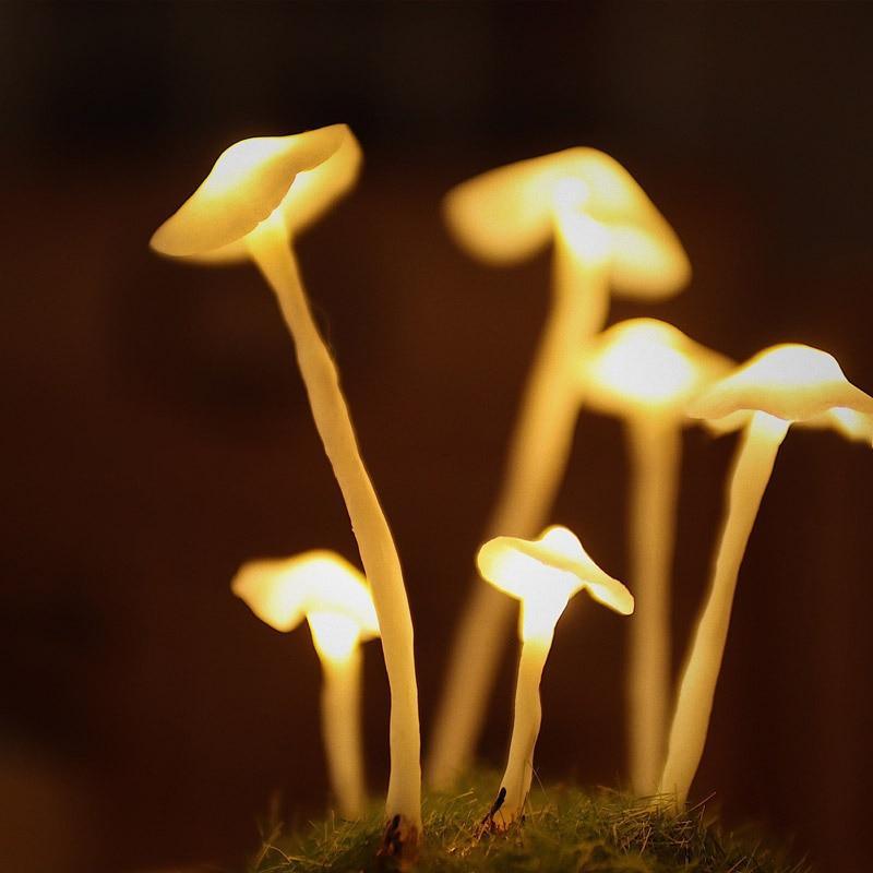 Enchanted Mushroom Lamp DIY Kit
